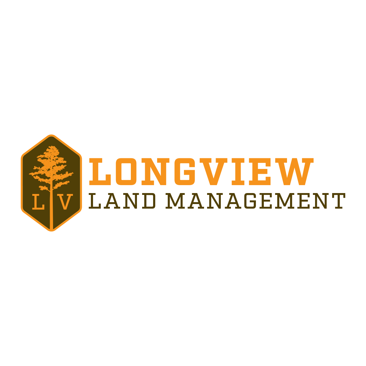 longview logo